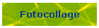 Fotocollage